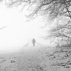 WhatsApp Image 2026-02-08 at 15.36.24